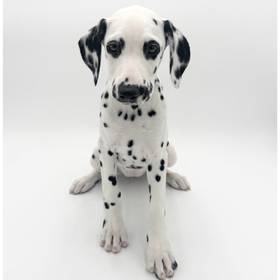 Dalmatian